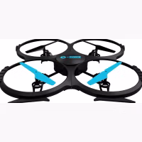 Two Dots Falcon