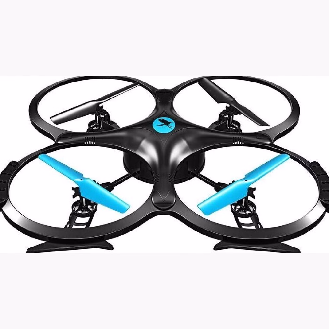 Two Dots Falcon