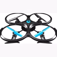 Two Dots Falcon
