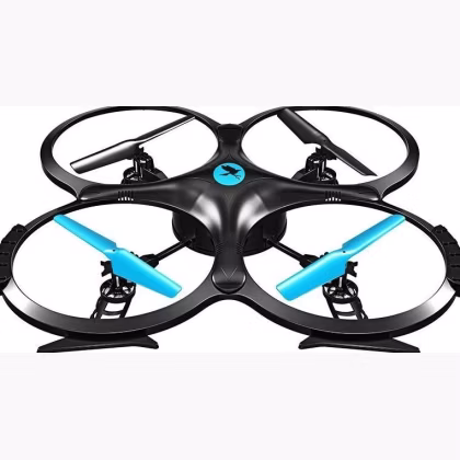 Two Dots Falcon