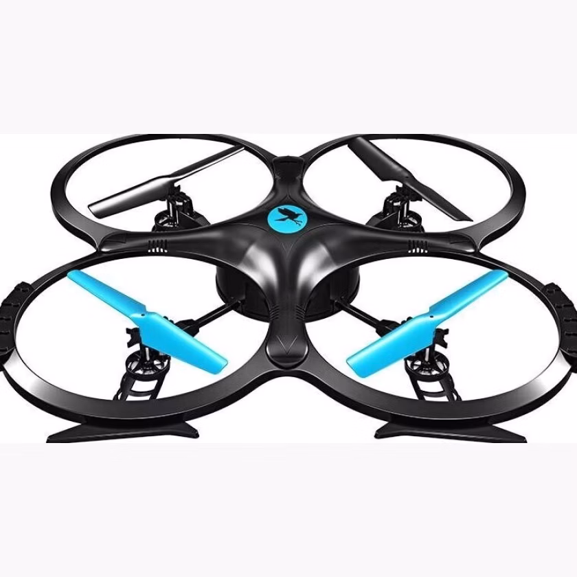 Two Dots Falcon