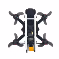 WalleFPV Eagle2